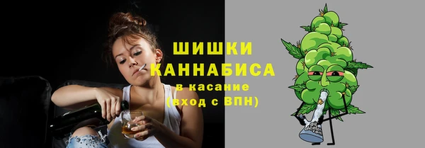 ПСИЛОЦИБИНОВЫЕ ГРИБЫ Куйбышев