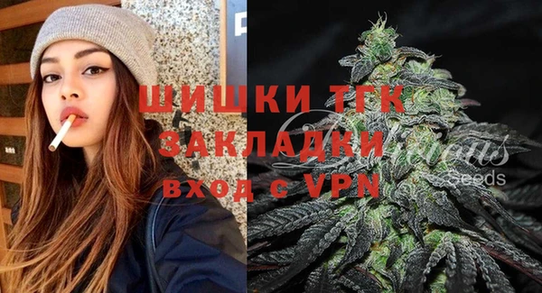 spice Болотное